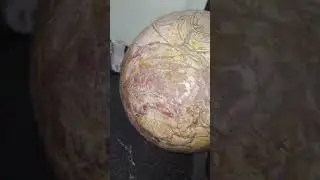 ESFEERA DE CONOCIMIENTO  - OJUELOS JALISCO