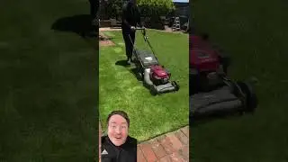 Good work!  Pt 1 #lawncare #lawn #mowing