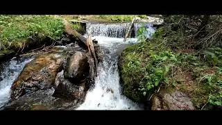 Hiking the West Jefferson Trail.