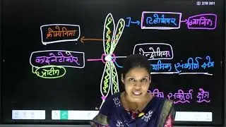 CHROMOSOMES गुणसूत्र🧬#biologyeducation #neet #rpsc #motivation #biologylesson#agriculture