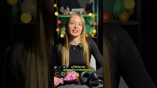 Самые яркие новости из мира стриминга за прошедшую неделю! Давай обсудим💭