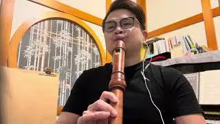 蔡琴：恰似你的溫柔［Tsai Chin ：Just Like Your Gentleness］Cover by Recorder 🎸 （Unplugged）