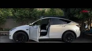TAPTES | Exploring the Model Y: A Comprehensive Showcase of Exterior and Interior