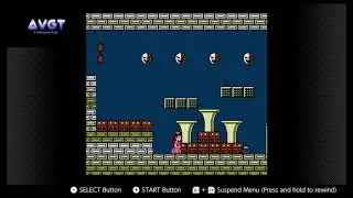 Super Mario Bros. 2 Final Boss Fight - Wart - No damage