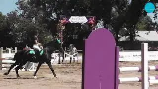 Гумерова Дайана и Ворон, любители, max 100 см. Eque Love Cup 16-07-2022