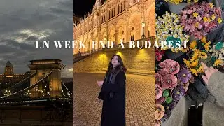 un weekend &agrave; Budapest : solo trip, balades le long du Danube et architecture