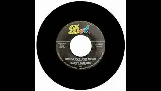 BARRY WILSON AND THE CAMELOTS - GONNA PUT YOU DOWN