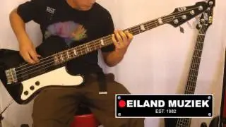 ESP LTD Phoenix 204 B