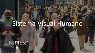 Visão Computacional - Sistema Visual Humano