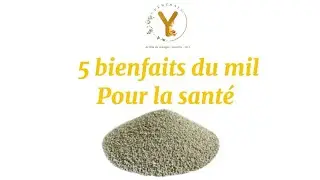 Le mil 🌾: 5 BIENFAITS &agrave; d&eacute;couvrir pour la sant&eacute; !