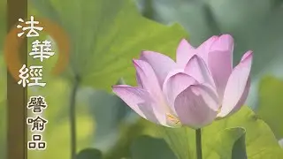 【靜思妙蓮華】法華經譬喻品 - 除疑圓種智 - 20200915 第466集