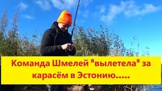 Разведка команды Шмелей. Охота на карася за границей. &ldquo;Bi&scaron;u komandas&rdquo; cope uz karūsu kaimiņvalstī.