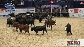 2021 NCHA Futurity Open Champion: JANIE WOOD shown by JOHN MITCHELL