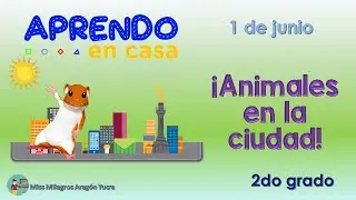 &iexcl;Animales en la ciudad!
