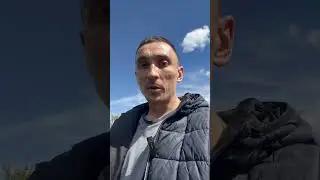 А вы знали, что перепелки могут нести яйца без участия петушка 🐔🐣 #shorts