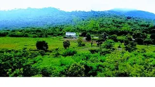 ಮಳೆಯಲಿ ಸುತ್ತಲಿನ ಪರಿಸರದ ಜೊತೆಯಲ್ಲಿ #Coorgnature