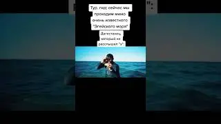 Лучшие tik tok мемы #59 | Best TikTok memes #shorts