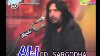 Allama Zulfqar Haidar naqvi ,Dr israr sae