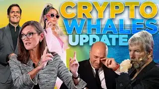 Crypto Whale Moves | UPDATE