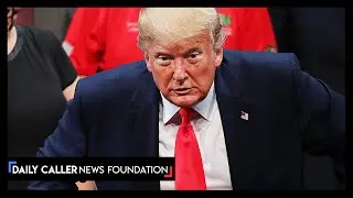 Trump Taunts The Liberals