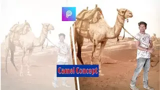 #picsart #picsartediting #picsarteditingtautorial || Picsart Camel Concept Photo Editing Tutorial