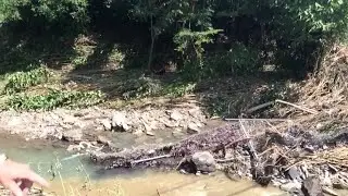 Reporter Update: Flooding Clean Up In Plum-Penn Hills Underway