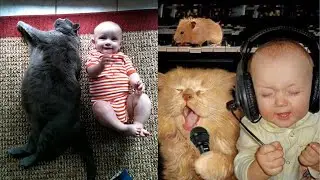 A cute cat and cute baby   Adorable cats and babies napping together