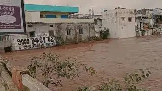 Nanadyal