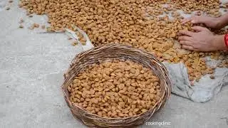 Older Trick To Make Apricot Kernels Oil | How To Make Apricot Kernels Oil At Home on heated Stone