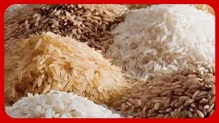 Ksh 60 Million Plant Breathes New Life into Rice Farming Sector in Siriwo, Siaya