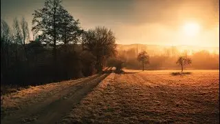 F Schubert Sonata D960 (second movement)