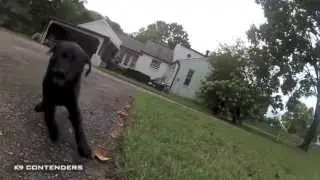 GoProHD : Tractor Cam