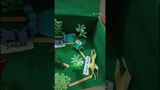 Model on food web || all the animals are made with paper