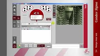 Wedge shear test