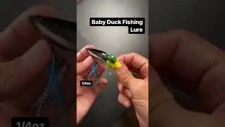 Decoy Duck Lure?
