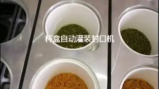 Automatic linear cup filling sealing closing packaging machine