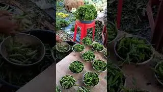 Traditional Vegetables Market| പഴയ കാല ചന്ത | #market #travel #tamilnadu #karaikudi