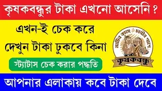 কৃষক বন্ধুর টাকা কেন এখনো ঢোকেনি || Krishak Bandhu Payment Status Check 2026