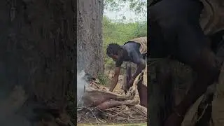 BURNING HAIRS TO CLEAN BUSH PIG #bushman #africa #animals #lifeisbutadream