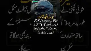 Hairat Angaiz Helmet