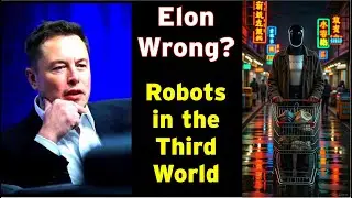 Is Elon Wrong? - Tesla Robots in the Developing World