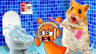 Oh No! Hamster And Oren's Toilet Cleaning Ordeal! | Hammy Haven