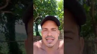 ABRA&Atilde;O / LOPES MENDES - TRILHA T10 ILHA GRANDE. Guia das Praias. (MARCIO PAES E JULIA PAES, 2021)