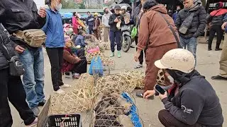 The Biggest Market for Pets, Poultry, and Fresh Food I Unique Market TV