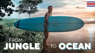 SURFING NOSARA + Tiny house build Week 5 - Living in Costa Rica