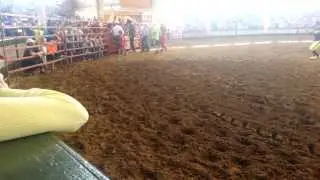 Matthew Mutton Bustin