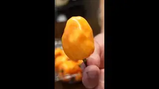 How to Ferment Chili Peppers (for Hot Sauce)
