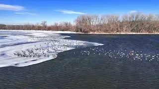 Frozen Lake, Flying Ducks: Stunning Drone View of Lake Kegonsa
