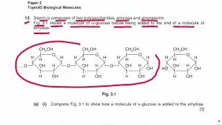 Biological molecules topical past papers paper 2 (part 1)