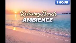 Summer Is Calling 🌊 Calm Maldives Beach & Gentle Waves (1 Hour Relaxation)